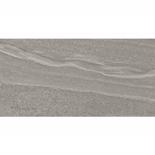 DWJ 9831